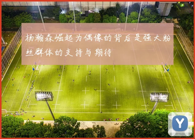 杨瀚森崛起为偶像的背后是强大粉丝群体的支持与期待